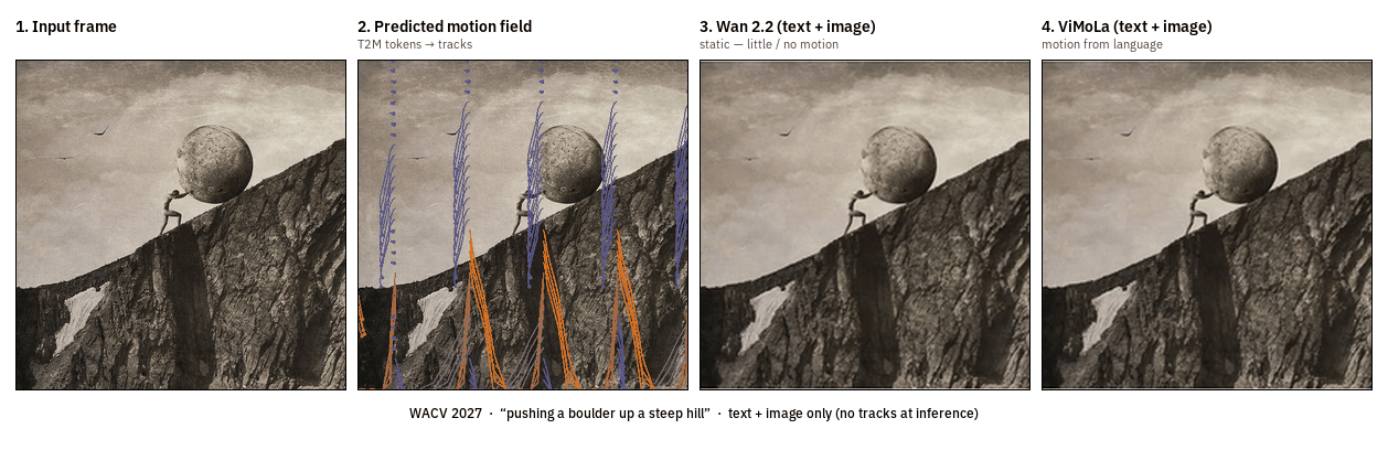 ViMoLa Sisyphus teaser: input, motion field, Wan static, ViMoLa motion